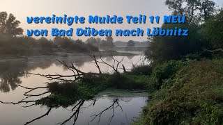 vereinigte Mulde Teil 11 NEU von Bad Düben nach Löbnitz