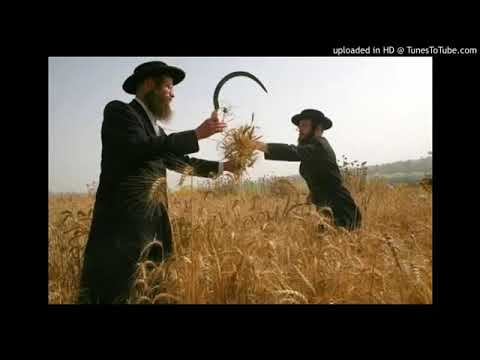 Where The Are The Reapers