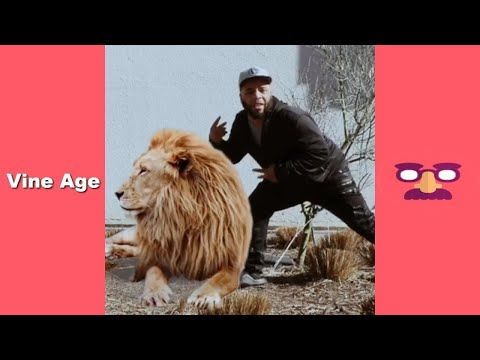 TRY NOT TO LAUGH or GRIN Watching REEDO BROWN / Funny Compilation of Reedo Brown Pt.2 - Vine Age✔