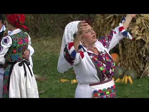 FLORICA DUMA - Dartace-i bine la nunta ( NOU 2020)