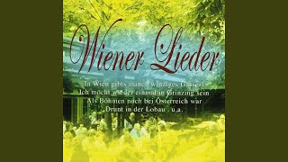 In Wien gibt&#39;s manch winziges Gasserl