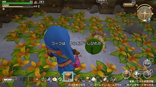 ドラゴンクエストビルダーズ 実況プレイ89