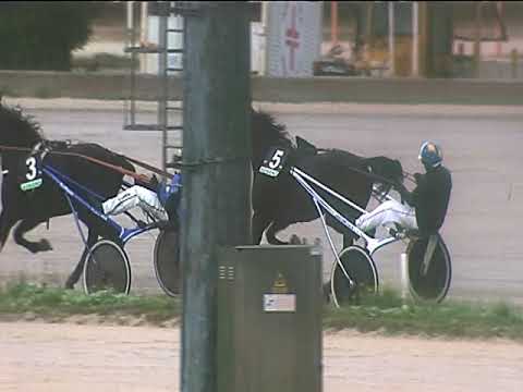 Trotto 02/11/2018 - 1ª corsa