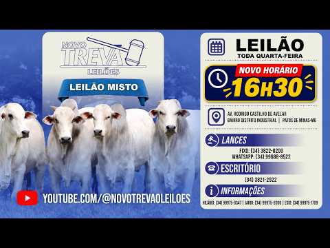 ⭐ 322º LEILÃO MISTO - NOVO TREVÃO LEILÕES EM PATOS DE MINAS/MG - 23/09/2026 ⭐