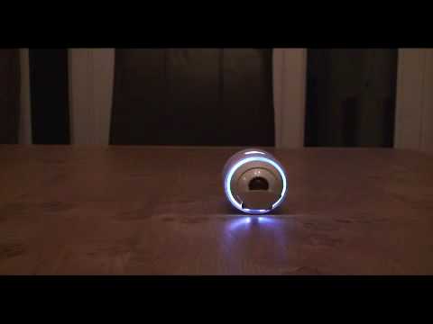 Sony Rolly - Ugly Duckling