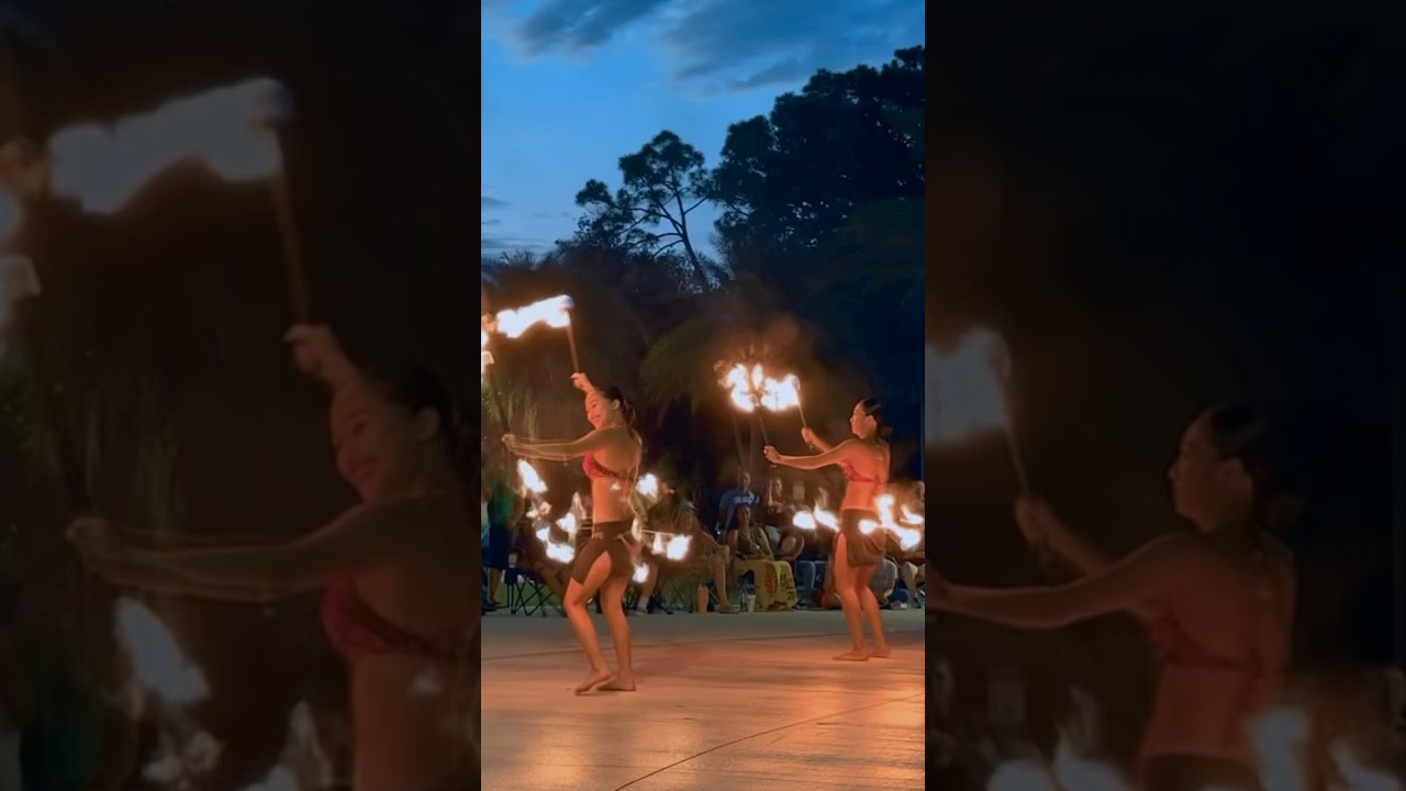 Promotional video thumbnail 4 for Hiti Mahana Polynesia