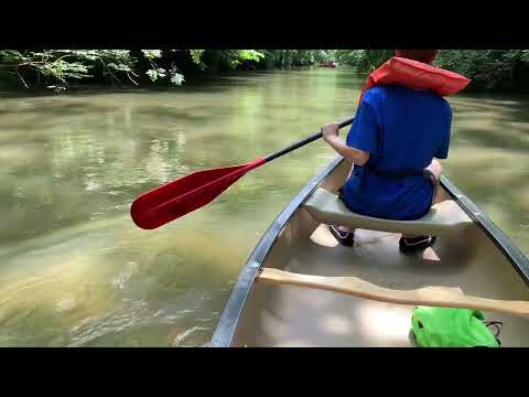 Zombie Infected Velveteen Water Hunt