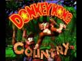 Donkey Kong Country OST DK Island Swing