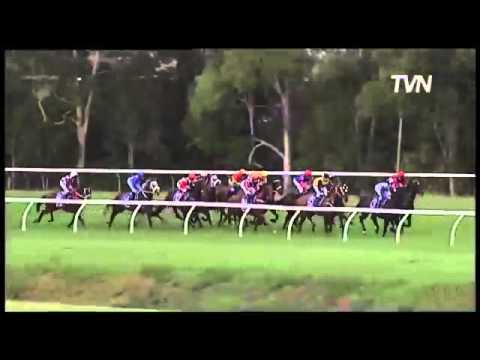 Watch Pierro (Lonhro) win the G1 George Ryder Stakes at Rosehill, Australia, 2013