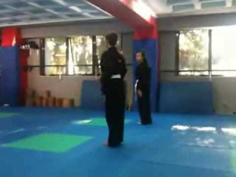 2013 Exam program for yellow belt Fu jow pai Budo team