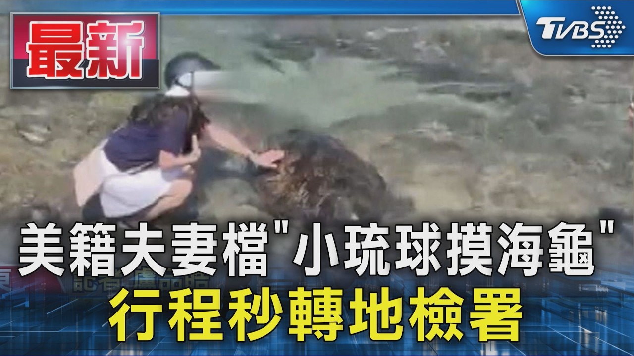 美籍夫妻檔「小琉球摸海龜」 行程秒轉地檢署|TVBS新聞 @TVBSNEWS01