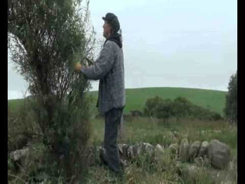 Wicker Vision - Emma Gillespie (Emma's Imagination) at Wickerman 2010