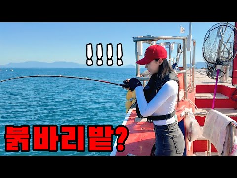 이 비싼 물고기가 바글바글???????? / 선상 낚시