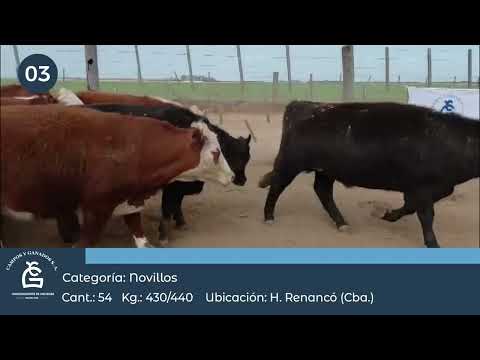 Lote NV Consumo - Huinca Renancó Córdoba