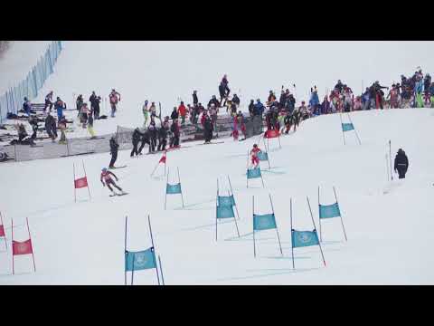 190317 Stratton PSL OP Blue