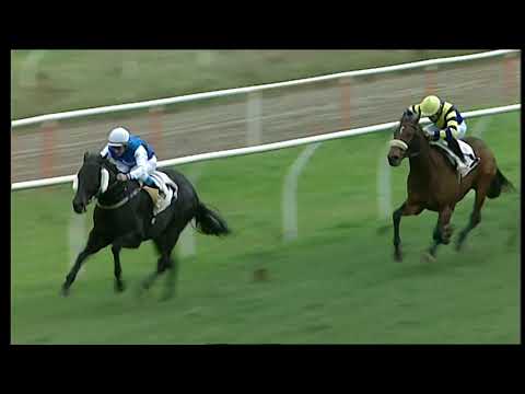 Galoppo 28/12/2020 - 1ª corsa