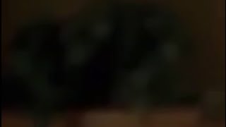 When Every Video I Make is a Black Box Meme