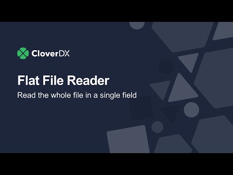 Read each line into a single string without parsing | FlatFileReader | CloverDX