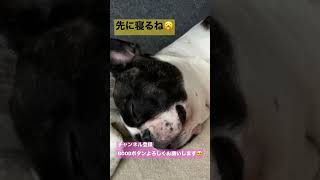 ずっと見てられる#shorts