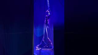 Aerial love story part of #StopTheViolence Show