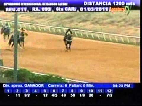 Resumen Martes, 01 de Marzo de 2011 - Rancho Alegre