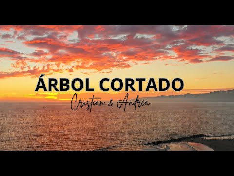 Árbol Cortado | Letra | Cristian y Andrea