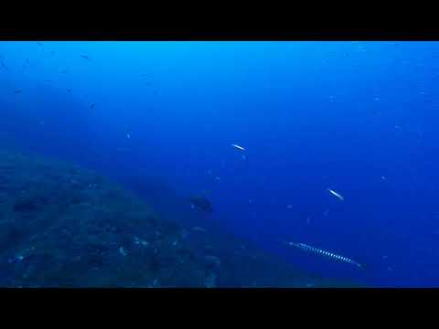 Scoglio del Vervece 26 10 2019