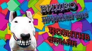 ТОП! Вы такого еще не видели. Приколюхи с животными. Приколы 2018. Ржачь до слез. Подборка приколов