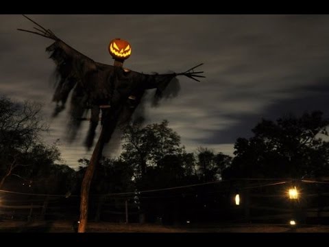 Daniel Amos - Father's Arms (lyrics)