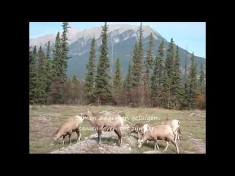 Samen in de Naam van Jezus - Zanggroep Gideon