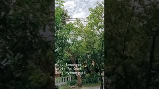 Download lagu Story wa Lagu Sewates Kerjo mp3