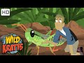 Wild Kratts |Grasshopper |Insects|NATURE