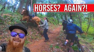 UPPER DEAD MOUNTAIN  |  IN THE WET, WITH HORSES AND MAYHEM!