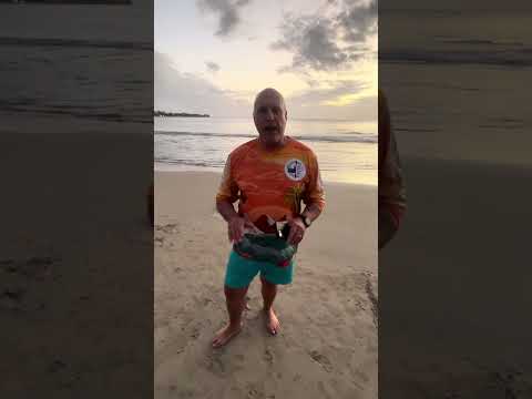 SASS Mauritius Tours - Paddler Interview - Pierre