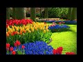 Grant Geissman El Cabong Rides Again (Flying Colors) HD