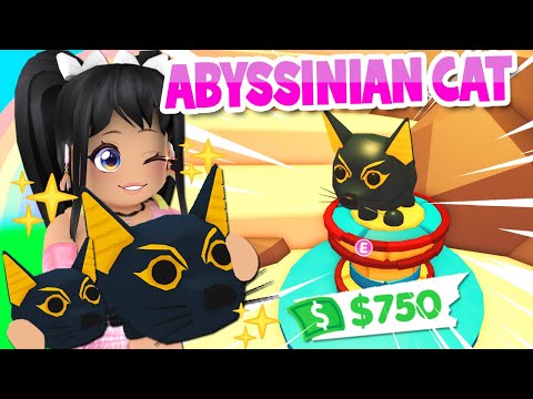 *IT'S HERE!* ABYSSINIAN CAT in ADOPT ME *DESERT UPDATE* (roblox)