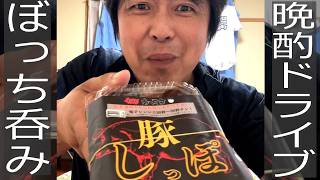 ぼっち飲み最高‼️45歳おっさんのリアルな夜