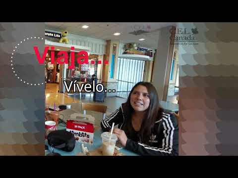 testimonio KARLA: Estudio de Interior Decorating