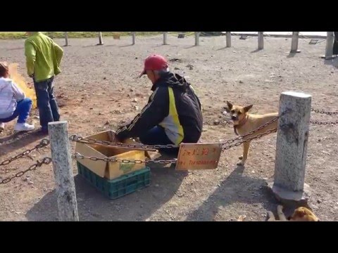 Incêndio começou na cidade de Hengchun, condado de Pingtung, Taiwan