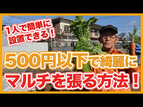 砂利 小石 ミネラルグラウンド 非有機 庭用マルチ