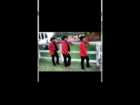 El Rock Del Sapo!! Príncipes  De Sinaloa!!