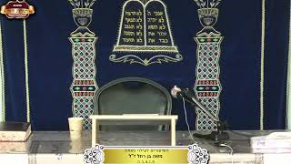 בית המדרש "תורת דוד" ¤ שידור חי ¤ י"ב אב תשפ"ה (6.8.2024) (מוסדות תורת דוד) - התמונה מוצגת ישירות מתוך אתר האינטרנט יוטיוב. זכויות היוצרים בתמונה שייכות ליוצרה. קישור קרדיט למקור התוכן נמצא בתוך דף הסרטון