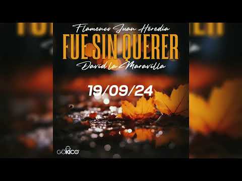 David La Maravilla - Fue Sin Querer "FT. Flamenco Juan Heredia"