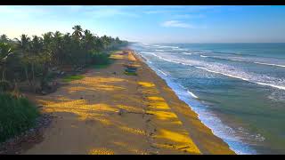 Experience The Stunning Beauty Of Sri Lanka From Above With Blesinski Travel's Drone Footage