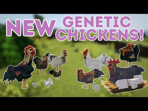 Breeding the NEW chickens from Genetic Animals Mod! Minecraft