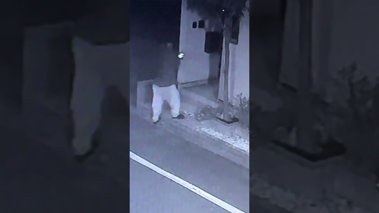 最新の荷物の配達方法