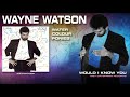 Wayne Watson - Would I Know You