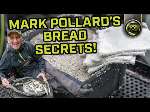 MARK POLLARD'S BREAD SECRETS! (Tips for Bread Punch fishing)