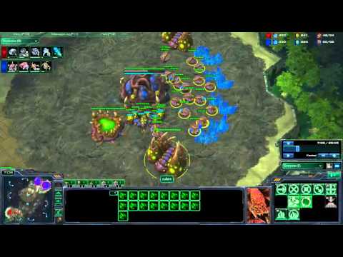 Starcraft 2 : Masters Zerg Coaching a Platinum Zerg - 1 / 6