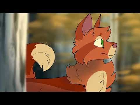 Parts 18 & 19 || WYBSK